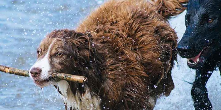 リターゲティング広告